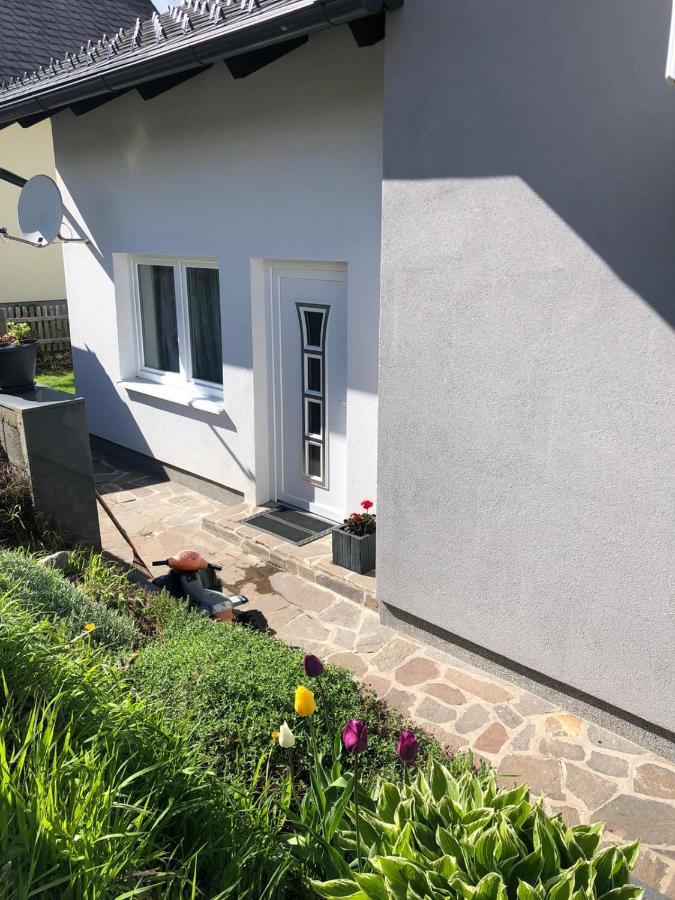 Apartment Sara Bad Mitterndorf Exterior photo