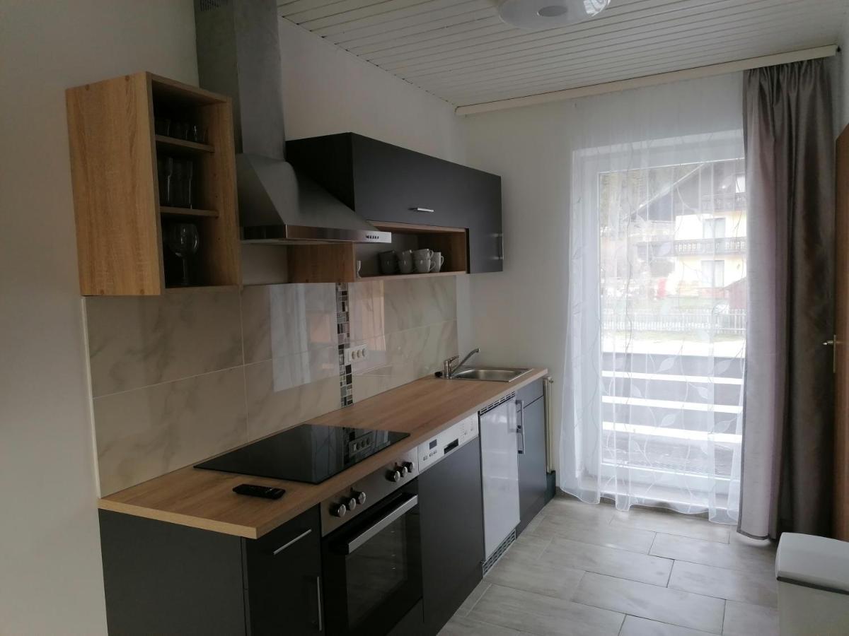 Apartment Sara Bad Mitterndorf Exterior photo